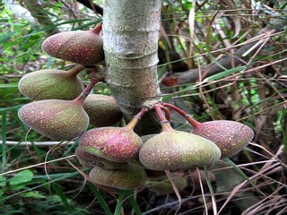 100种全屋定制效果图