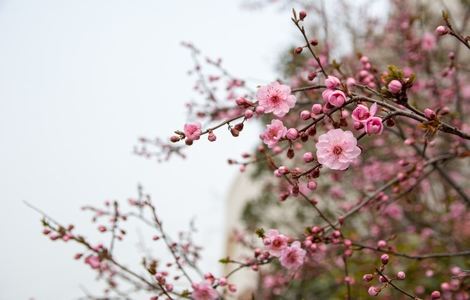 中文乱幕日产无线码一区