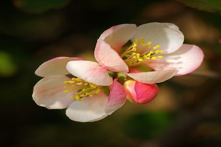 在她老公面前搞她小说