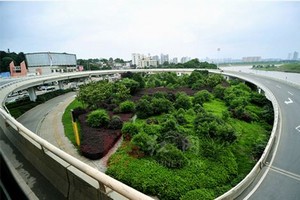 天马高清电影院