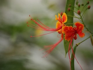 女手浮教程视频免费网页