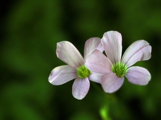 日本好看的电视60电影