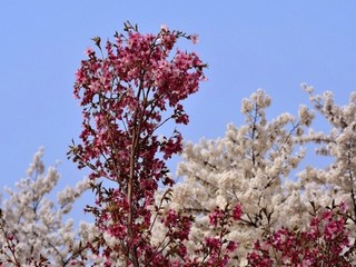 瑜伽露孢鱼缝高清视频