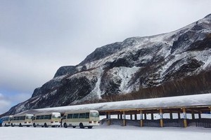 甜蜜惩罚樱花完整版免费